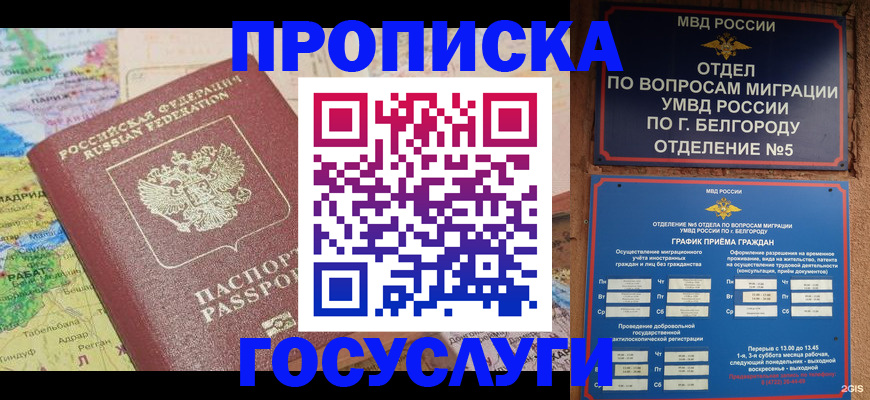 прописка регистрация в Змеиногорске